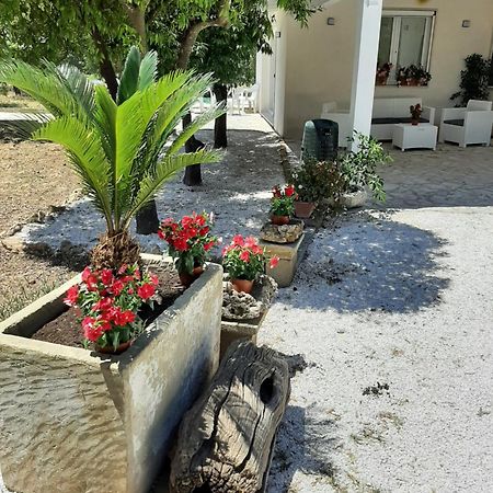 Tenuta Pizzi San Pietro Vernotico Dış mekan fotoğraf