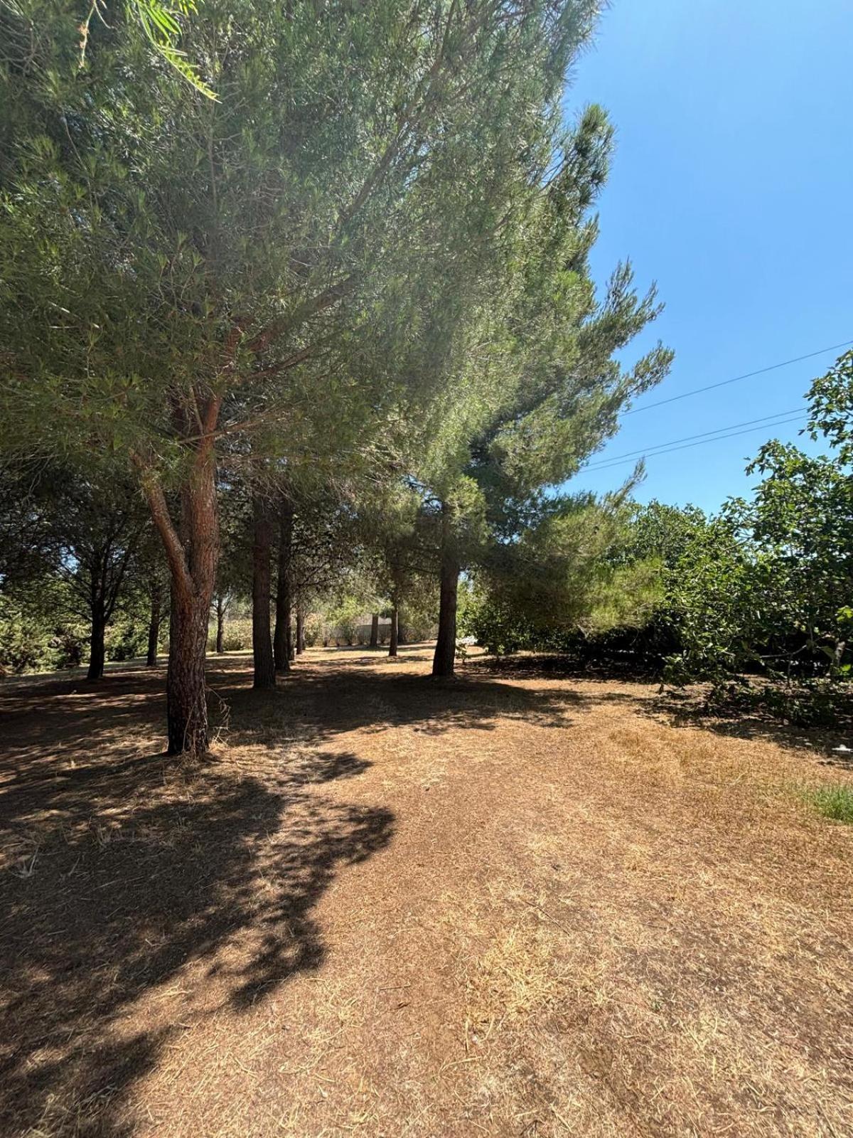 Tenuta Pizzi San Pietro Vernotico Dış mekan fotoğraf