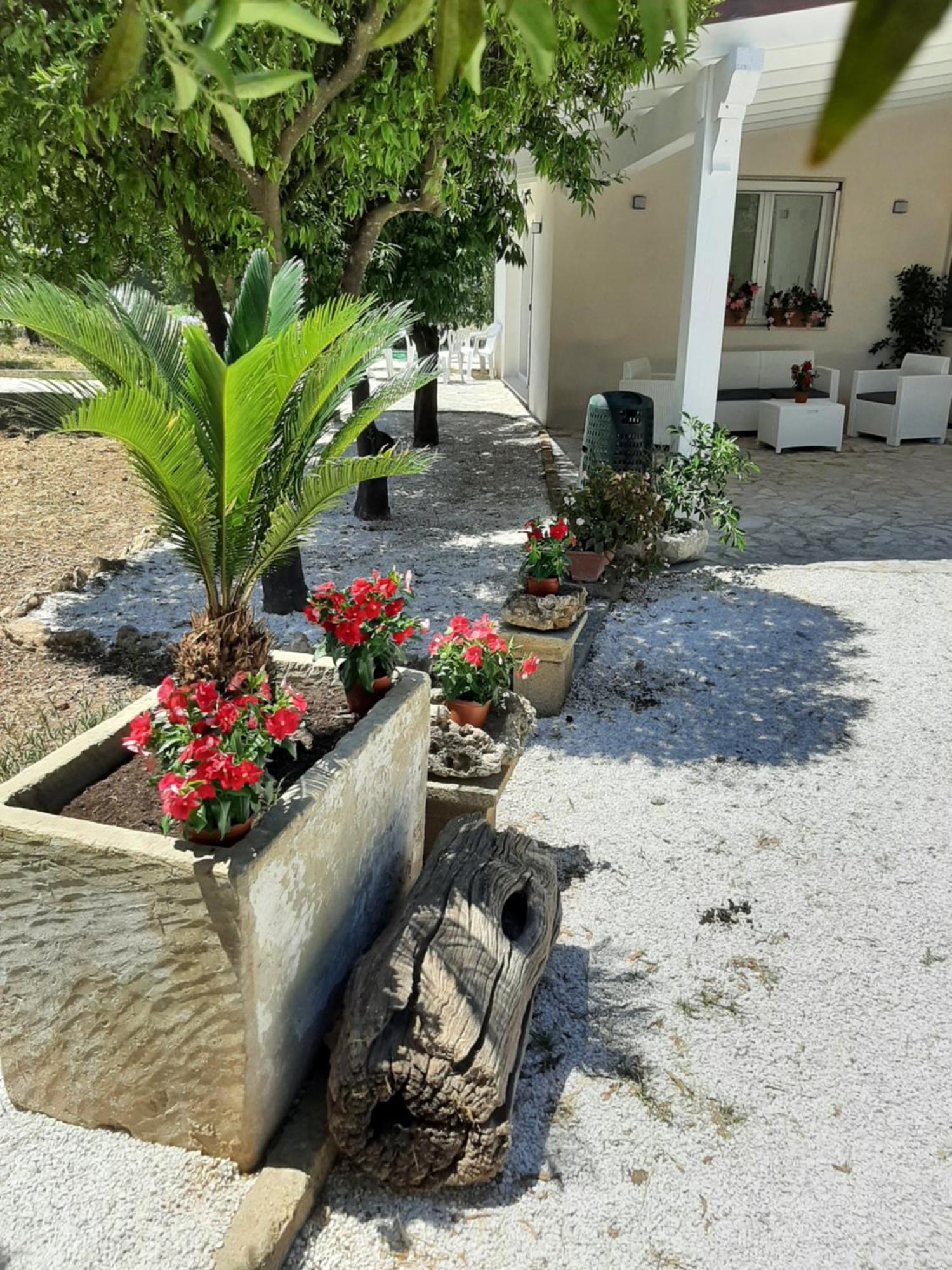 Tenuta Pizzi San Pietro Vernotico Dış mekan fotoğraf